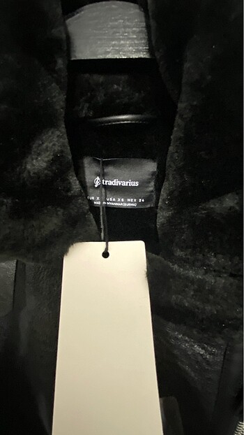 Stradivarius Bayan mont