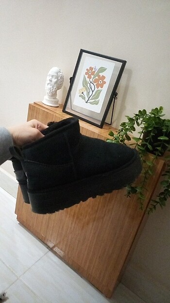 Ugg Bot