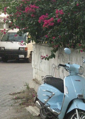 Beden Renk canon dijital fotoğraf makinesi