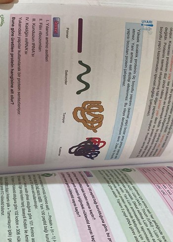 Limit Yayınları Sınav Hazırlık Kitabı