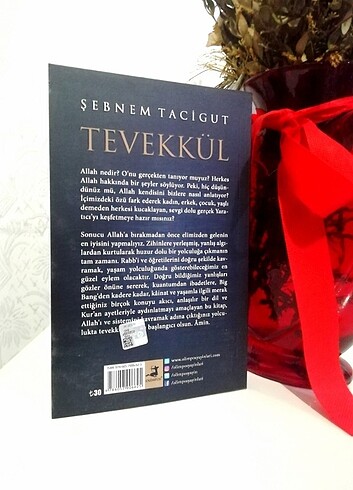 Tevekkül - Şebnem Tacigut
