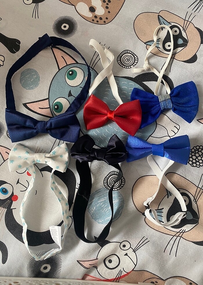 Askı ve papyon - Görsel 2