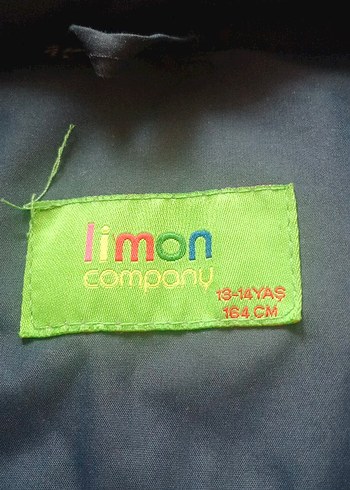 erkek çocuk kışlık mont - Görsel 4