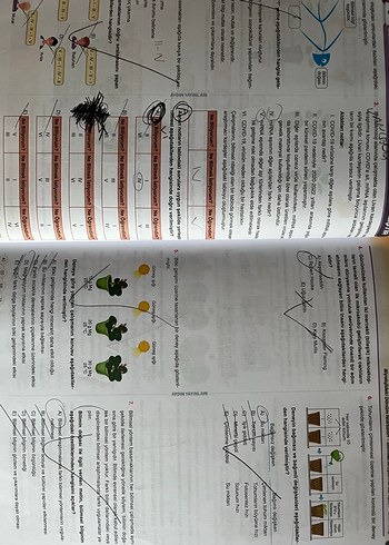 9. Sınıf Aydın yayınları biyoloji soru bankası - Görsel 3