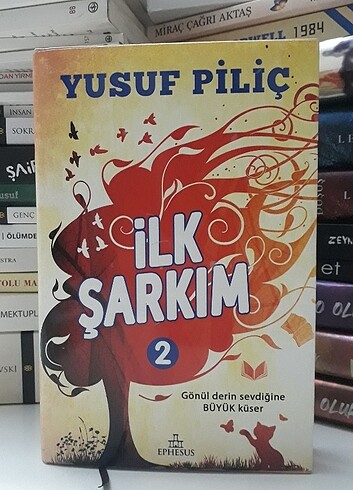 İlk Şarkım 2