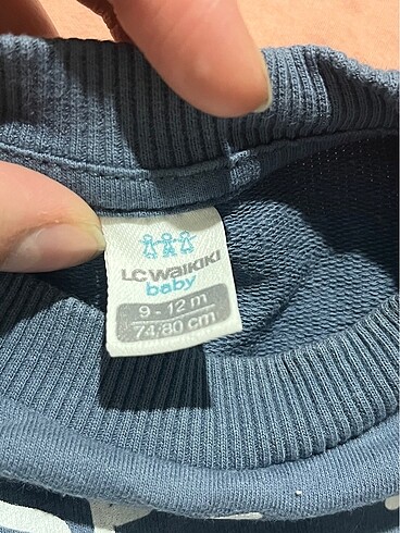 9-12 Ay Beden Lcw Erkek bebek sweatshirt