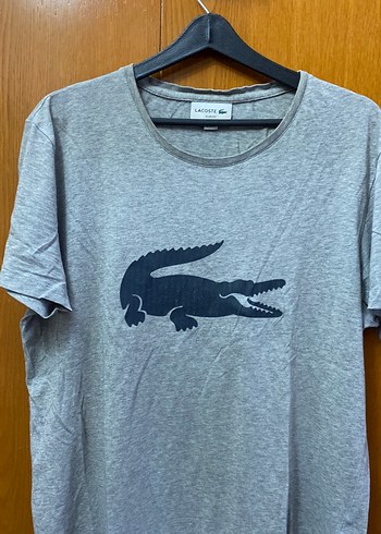 Lacoste l