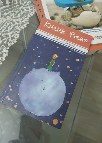 Küçük Prens - Antoine de Saint-Exupéry - Görsel 8