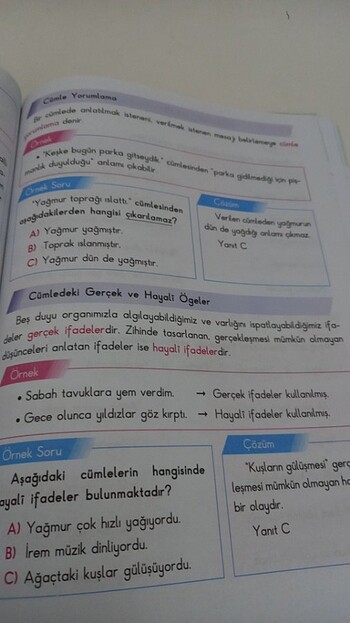 Beden Renk 3.sınıf Türkçe soru bankası