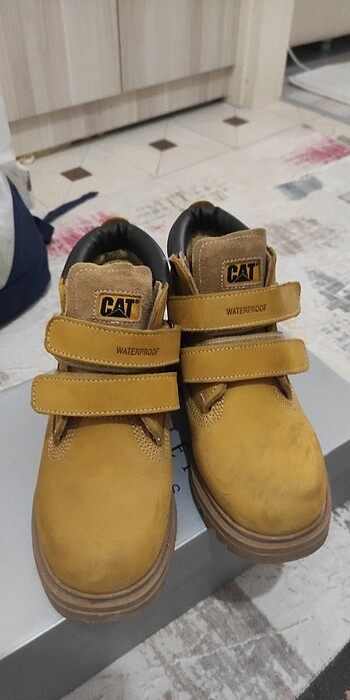 Cat Kız çocuk Bot erkek çocuk içinde olabilir