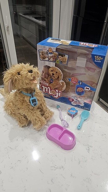 MOJİ akıllı köpek sıfır ayarında