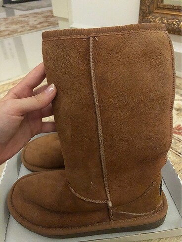 36 Beden Ugg bot