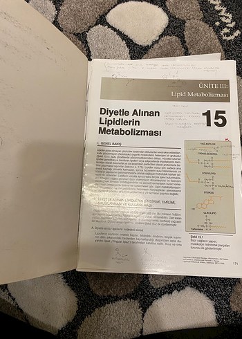 Biyokimya - Görsel 3