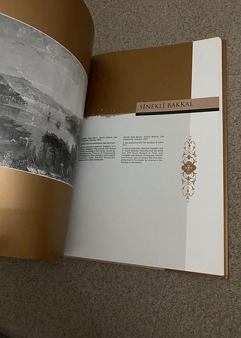 Bir Demet İstanbul - Türk Romanından Kitap - Görsel 3