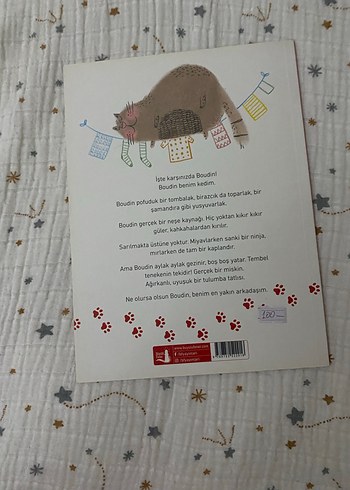 Canım Kedim - Çocuk Kitabı - Görsel 2