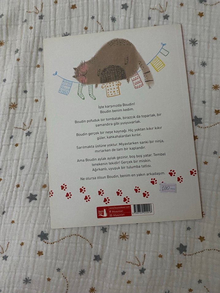 Canım Kedim - Çocuk Kitabı - Görsel 2