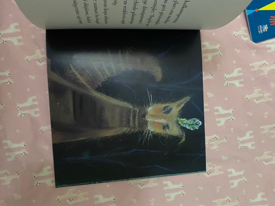 Tavus Kusu Olmak İsteyen Çakal - Sanat Kitabı - Görsel 3