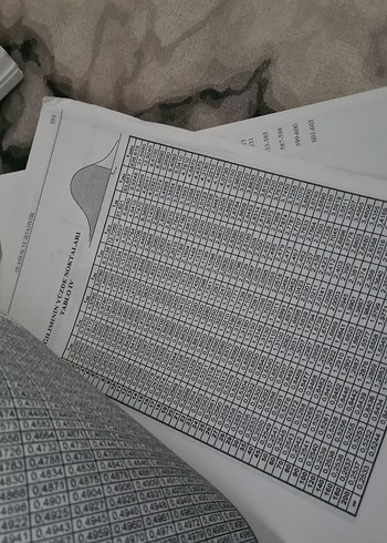 Beden Renk Olasılık ve İstatistik Kitabı