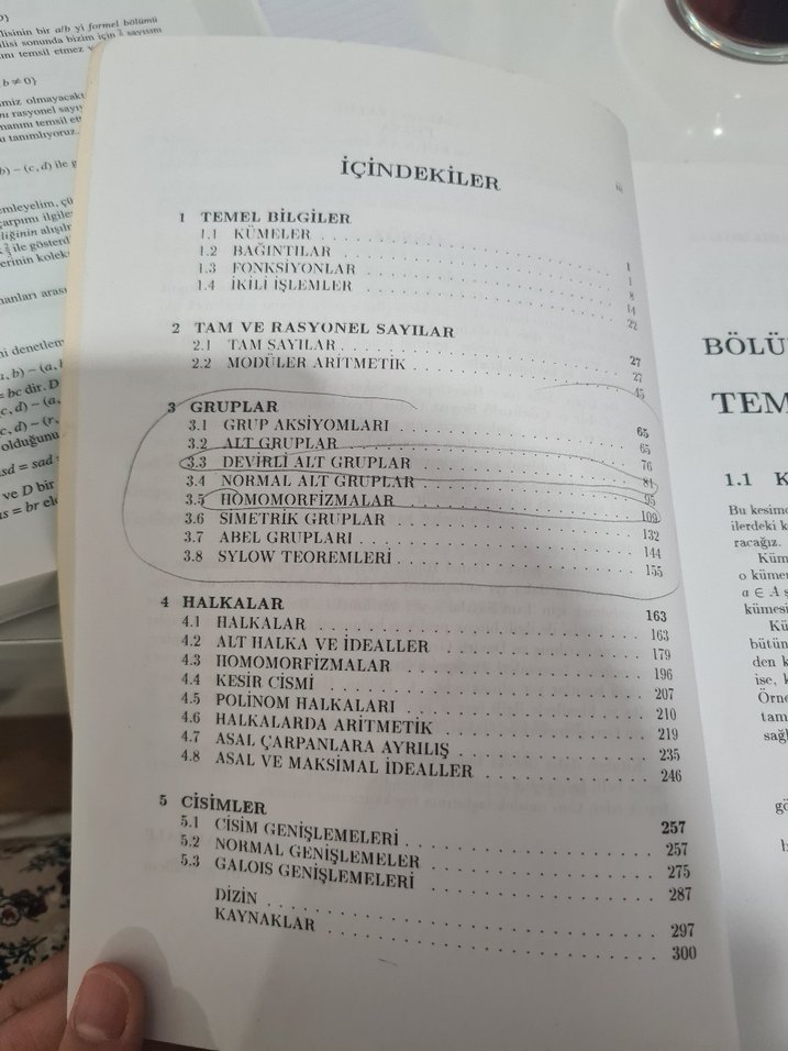 Örneklerle Soyut Cebir Kitabı - Görsel 2