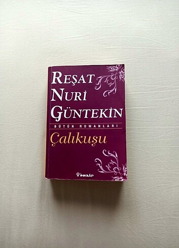 Reşat Nuri Güntekin - Çalıkuşu