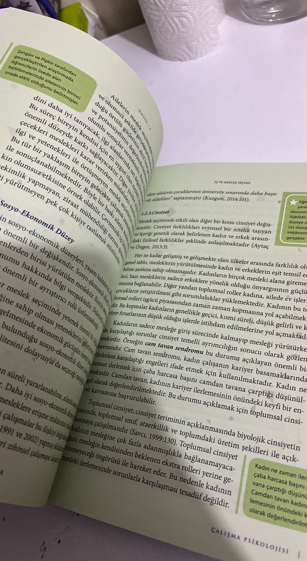 Çalışma Psikolojisi Kitabı - Görsel 2