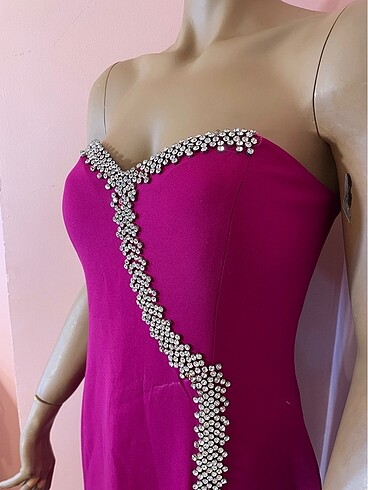 Tam balık model