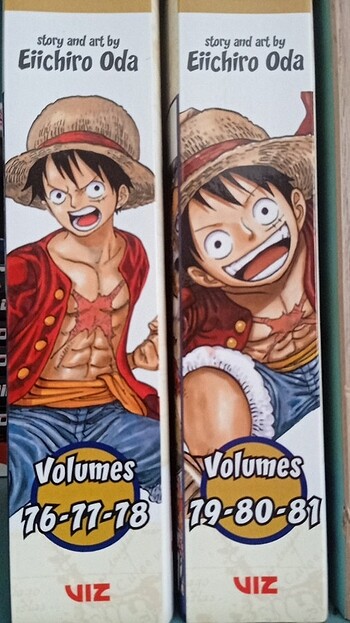 one piece 3 in 1 