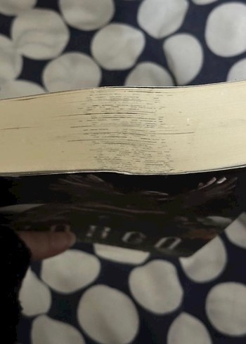 Karga - Aşkın Nur Karataş - Görsel 2