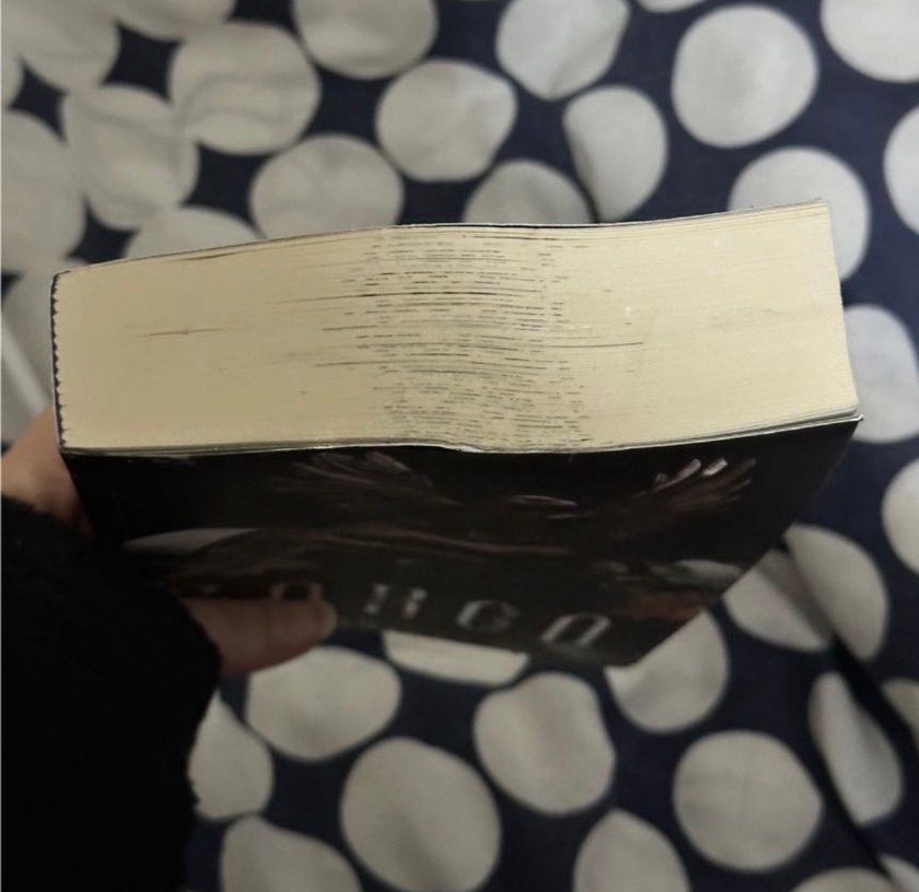 Karga - Aşkın Nur Karataş - Görsel 2