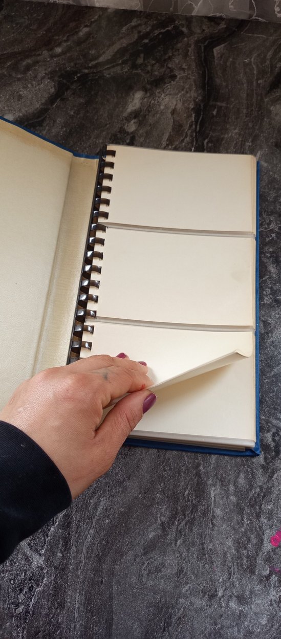 vintage fotoğraf albümü - Görsel 2