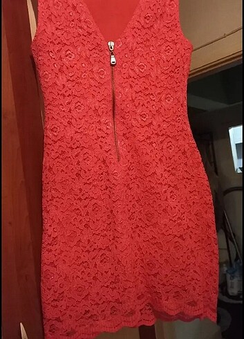 Zara Tanesi 100