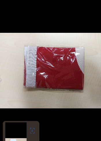 Türk Bayrağı - Görsel 2