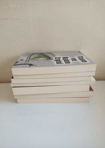 Beden Taşın ve Aşkın Ezgisi Romanı 7 kitap