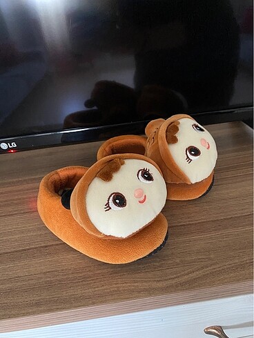 Penti Ev botu