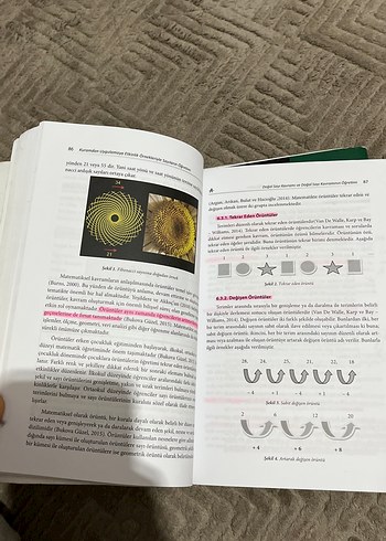 Sayıların Öğretimi - Kuramdan Uygulamaya - Görsel 3