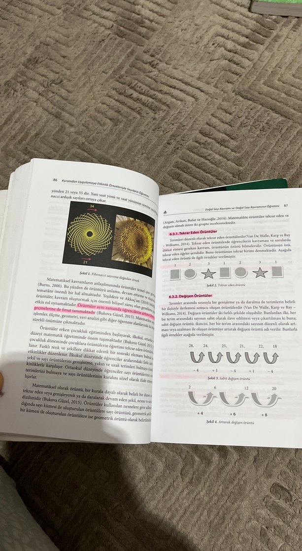 Sayıların Öğretimi - Kuramdan Uygulamaya - Görsel 3