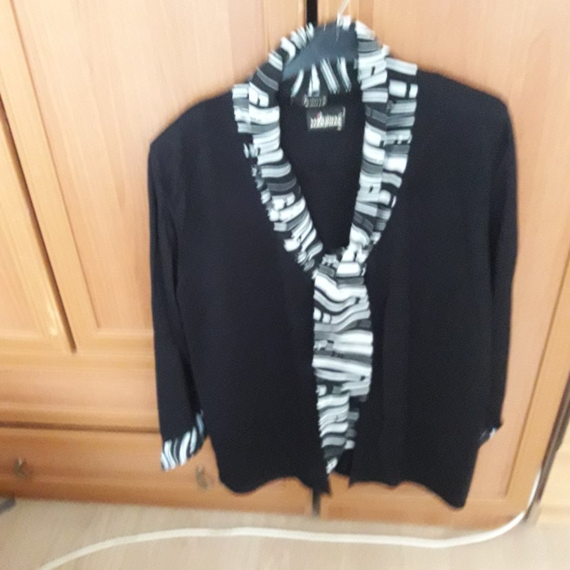 V Yaka Zebra Desenli Siyah Kadın Bluz - Görsel 4