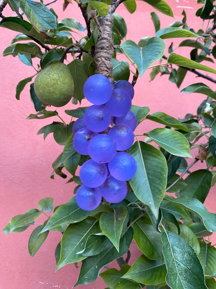 Salkım üzüm sabun - Görsel 2