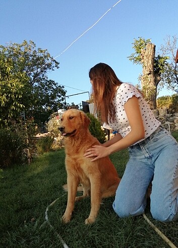 36 Beden mavi Renk TRENDYOLMILLA WİDE LEG PANTOLON
