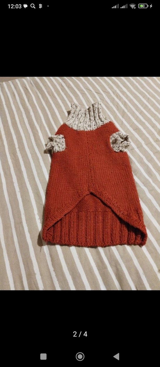 Örgü Kahverengi Köpek Kazağı - Görsel 3