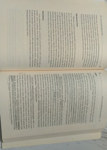 Erken Çocukluk Eğitimine Giriş - Serdal Seven - Görsel 5