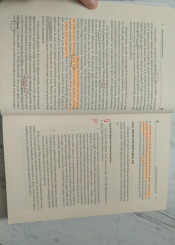 Erken Çocukluk Eğitimine Giriş - Serdal Seven - Görsel 9