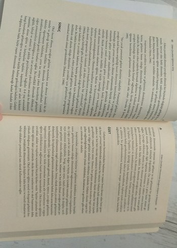 Erken Çocukluk Eğitimine Giriş - Serdal Seven - Görsel 7