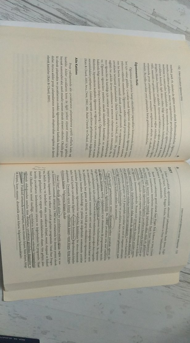 Erken Çocukluk Eğitimine Giriş - Serdal Seven - Görsel 5