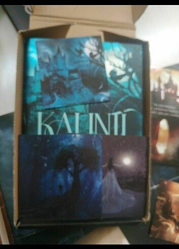 Kalıntı 