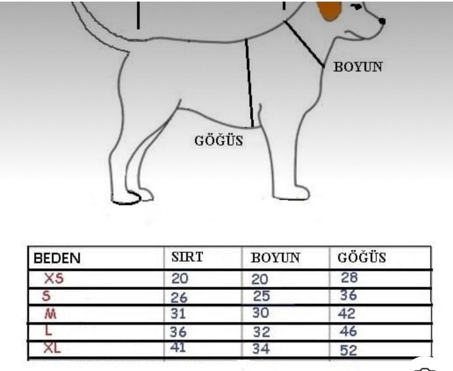 Pembe Tüylü Köpek Kıyafeti XL küçük ırk - Görsel 4