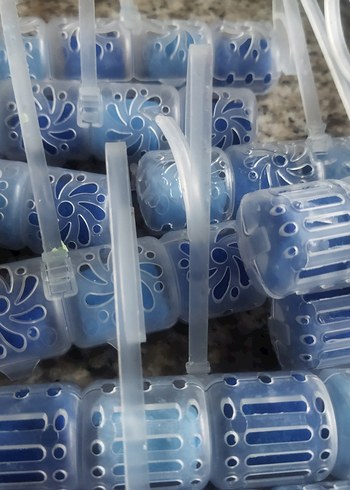 klozet koku bloğu - Görsel 4