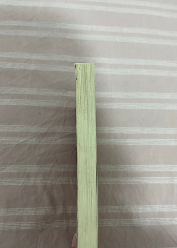 Ahmet Ümit - Aşkımız Eski Bir Roman - Görsel 5