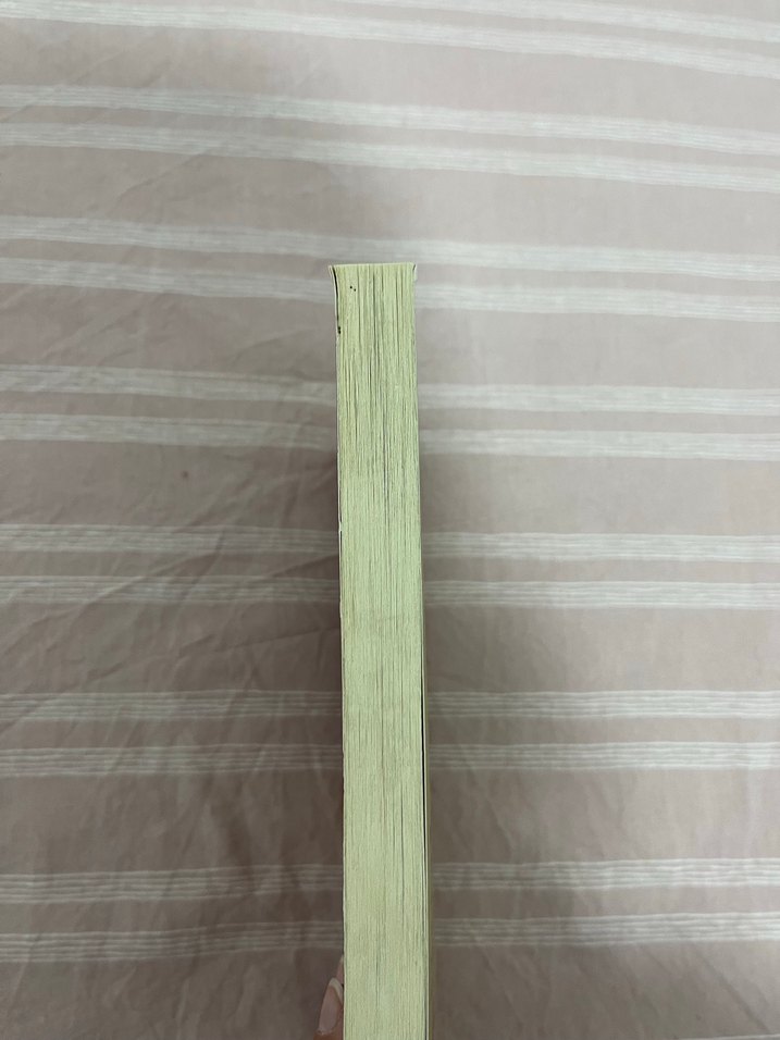 Ahmet Ümit - Aşkımız Eski Bir Roman - Görsel 5