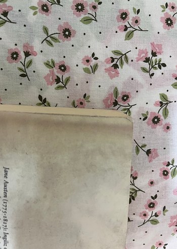 Jane Austen - Gurur ve Önyargı Romanı - Görsel 4